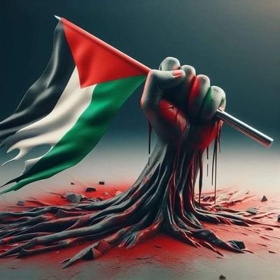 allouh_jawad's profile picture. Chartered accountant