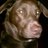 TheRoeser's profile image