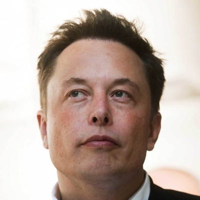 The founder, CEO and Chief engineer of spaceX;angel investor,CEO and product architect of Tesla