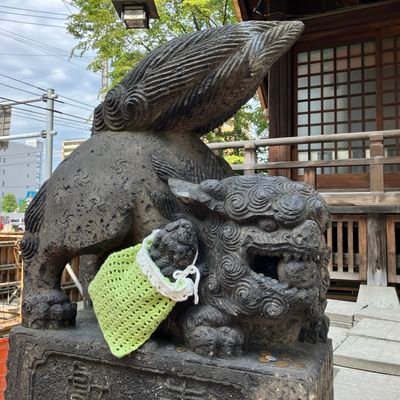 獣耳、かわいい物好きです😆
野生動物、野鳥、風景の写真を撮るのが好きです！