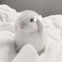 Diamant ♡︎ (@diamantglass) 's Twitter Profile Photo