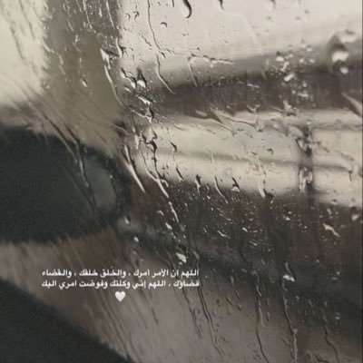 YAlbqmy30796's profile picture. 