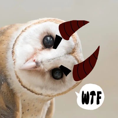 🦉✨Here's the Birdie✨🦉さんのプロフィール画像