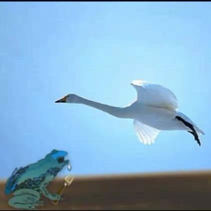 Toothbr40272585's profile picture. Buying shitty #NFTs and trading #crypto sometimes. Opinions are my own.