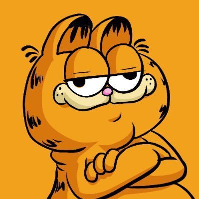 GARF_Solana Profile Picture