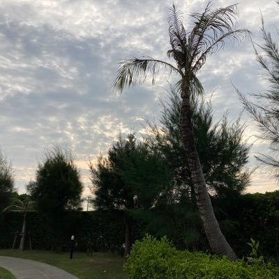 Ar___13's profile picture. 情報