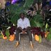 Jamar Thrasher (@jamarthrasher) Twitter profile photo Jamar Thrasher (@jamarthrasher) Twitter profile photo