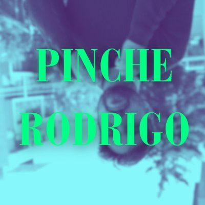 PincheRodrigo Profile Picture