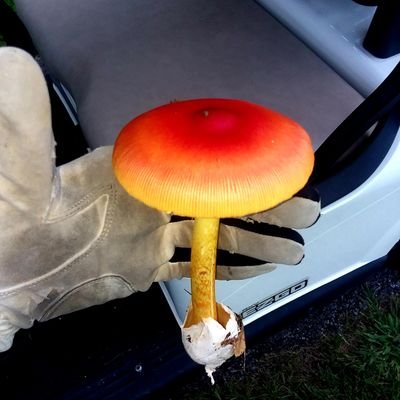 MasterB42155613's profile picture. 