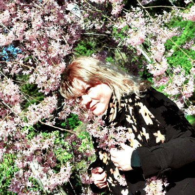 Lulan_13's profile picture. Marketing, PR