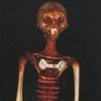 Jack (@scienceboyjack) 's Twitter Profile Photo Jack (@scienceboyjack) 's Twitter Profile Photo