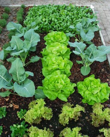 RenskeAtWork's profile picture. Groningen, The Netherlands