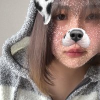 のあ@よくチケ無くす人 (@aoi_noa_1201) Twitter profile photo