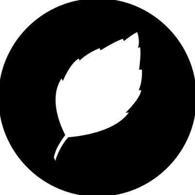 pestofinance's profile picture. Long or short with leverage via @aave and @uniswap