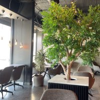 نـوف ▽ (@2xini_) Twitter profile photo