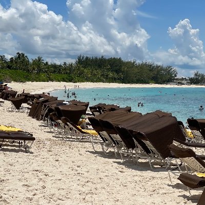 Beatriz65100364's profile picture. Mom, wife, boss, patriot 🇺🇸