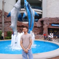 Stiven Becerra (@stivenb75156513) 's Twitter Profile