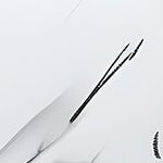 Throwzzzjailo's profile picture. 