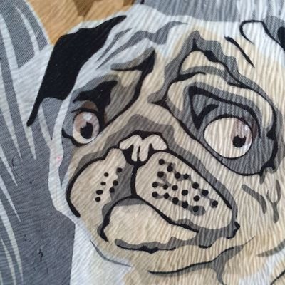 nxtlvlvctr's profile picture. oiiiii