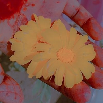 Ramandeep96726's profile picture. 