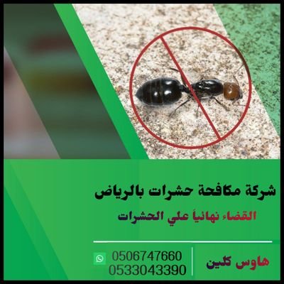 شركة مكافحة حشرات بالرياض شركة رش مبيدات بالرياض شركة رش مبيد بالرياض، مكافحة صراصير مكافحة نمل مكافحة فئران ، رش دفان
نقدم أفضل الأسعار
0533043390-0506747660