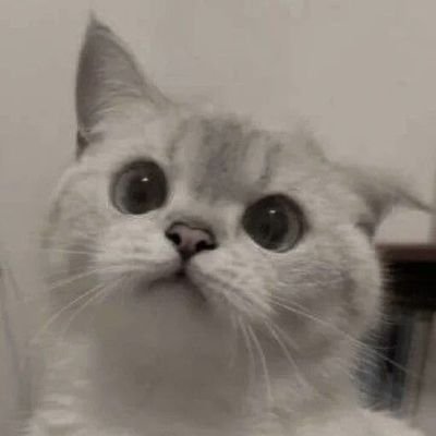 prtiti14's profile picture. akun pribadi