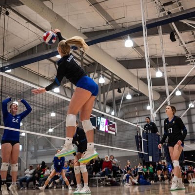 emmasheldon21's profile picture. TAV Houston 15u Molten Outside Hitter