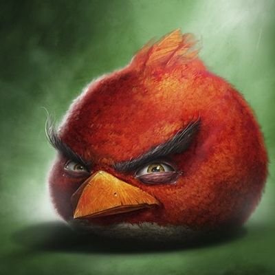 8 angry birds