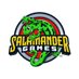 Salamander Games (@PlaySalamander) Twitter profile photo