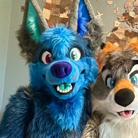 BIG STOOPiD 🍌 (@furry_the_jake) 's Twitter Profile Photo BIG STOOPiD 🍌 (@furry_the_jake) 's Twitter Profile Photo