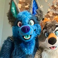 BIG STOOPiD 🍌(@Furry_the_Jake) 's Twitter Profile Photo