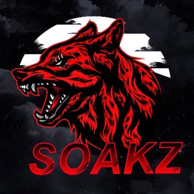 Names Soakz, 21, With a KILLER AIM. Got a Passion for making Content and making people laugh!!!! Editor @sound_gfx Twitch Affiliate