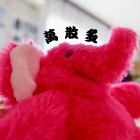 萬散多(@matildamachico) 's Twitter Profile Photo