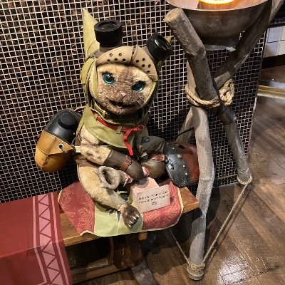 SINON875's profile picture. 初めましてー！会える方いましたらDMよろしくでーす！飲み友とか欲しいですねー。横浜とかによく居ます！