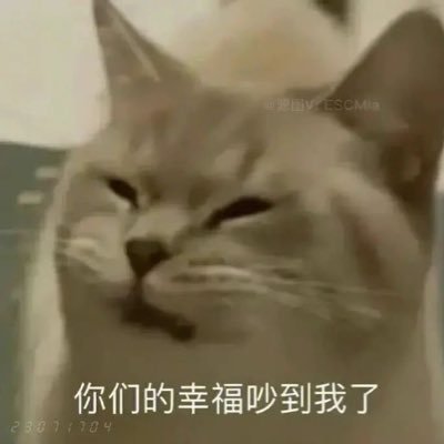 不 你根本不認識我