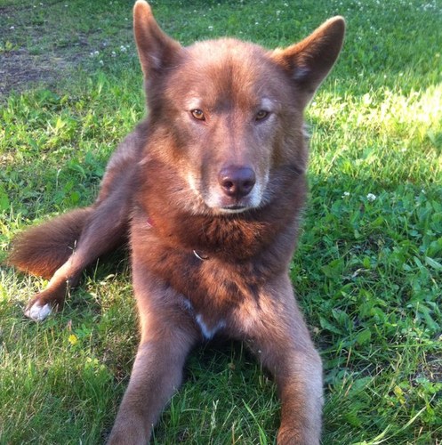 debbie_freedman's profile picture. 