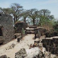 Kunta kinteh island (@islandkunta) 's Twitter Profile