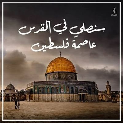 sabhaomar194020's profile picture. كنت معلمة لأجيال والان تقاعدت وأحب قراءة الأخبار ومتابعتها والتواصل مع الناس من مختلف البقاع