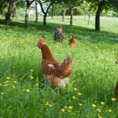 RettungTie87233's profile picture. 