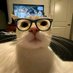 . (@kopppekooppe) Twitter profile photo . (@kopppekooppe) Twitter profile photo