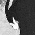 𝕹𝖎𝖔𝖇𝖊 (@toduring_) Twitter profile photo 𝕹𝖎𝖔𝖇𝖊 (@toduring_) Twitter profile photo