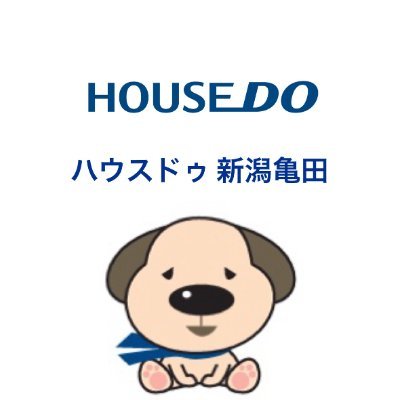 housedo_kameda Profile Picture