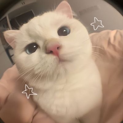 lloisaylaa's profile picture. 