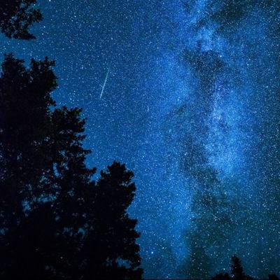 internets_son's profile picture. 