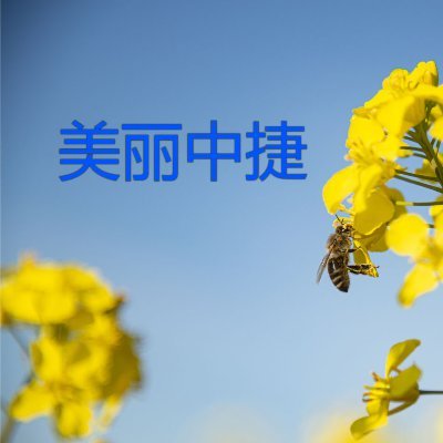 河北沧州中捷产业园区（互fo）