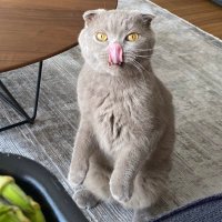 Ezgi (@ezgilerden) Twitter profile photo