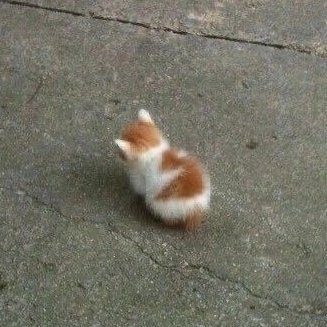 Dasmodem's profile picture. 