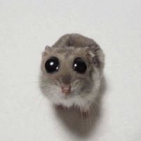 M_Juuu (@m_juuu11119) 's Twitter Profile