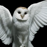 ❤ お役立ち生活情報局 ❤ (@moongiger) 's Twitter Profile Photo ❤ お役立ち生活情報局 ❤ (@moongiger) 's Twitter Profile Photo