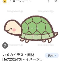 フラワー🌼 (@rinrin_panda08) 's Twitter Profile